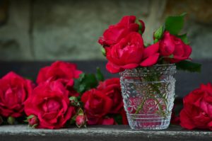 roses in a vase