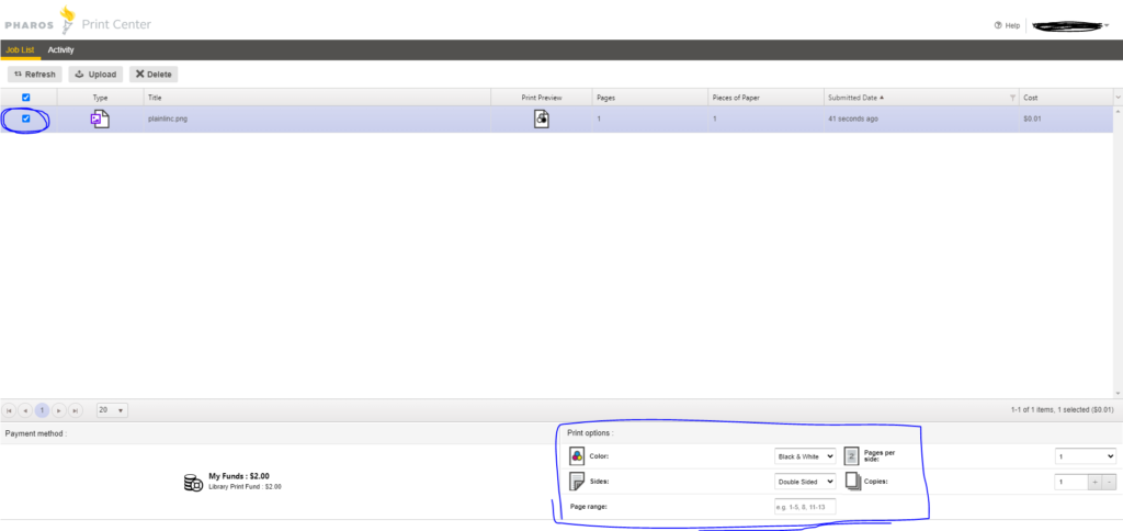 printing interface with checkbox next to file checked, which brings up a menu of printing options in the lower right section of the interface